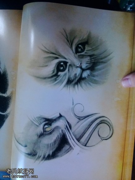 猫咪纹身图案分享