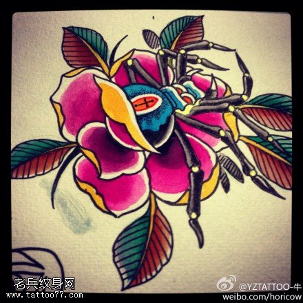 彩色玫瑰花蜘蛛纹身手稿图