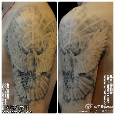 唯美和平鸽纹身图案