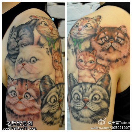 各种卡哇伊猫咪纹身图案