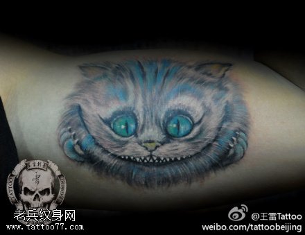 蓝眼灵力猫咪纹身图案