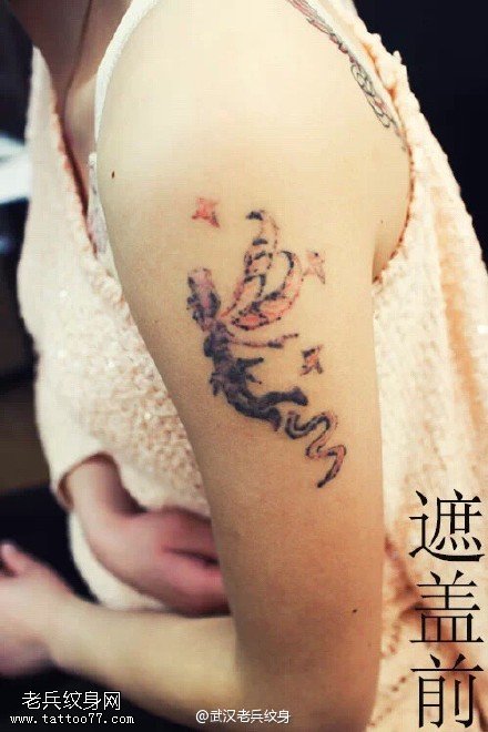 遮盖前