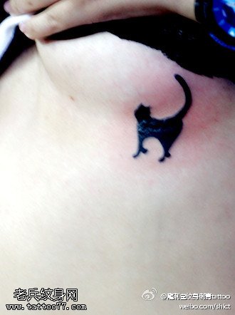 腋下小清新美丽可爱小猫咪纹身图案