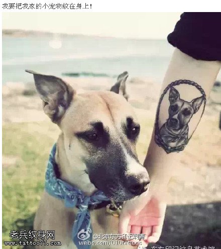 纹在身上的宠物纹身图案