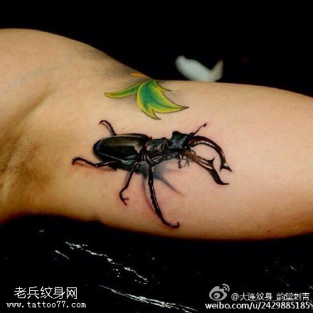 非常生动的小甲虫纹身图案