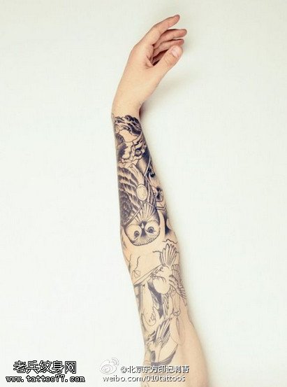 黑灰风格猫头鹰纹身图案