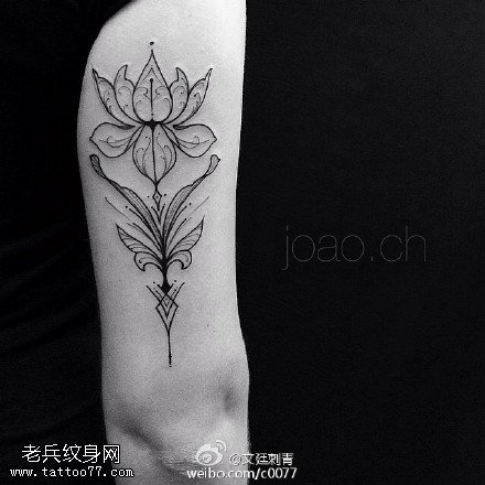 线条点刺莲花纹身图案