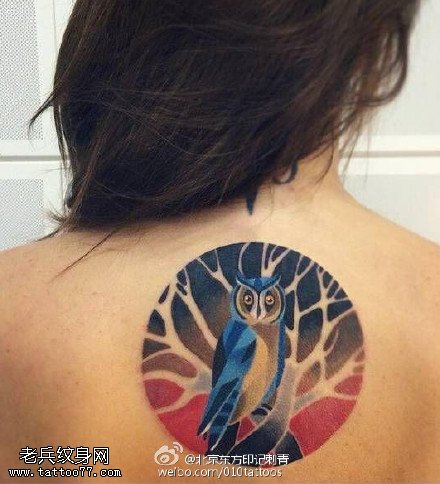 彩绘猫头鹰纹身图案