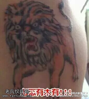 彩绘凶猛的狮子纹身图案