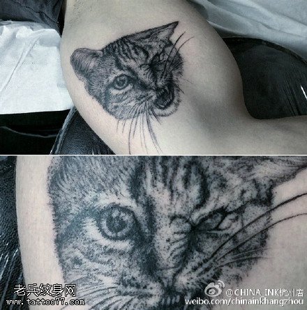 逼真的宠物猫纹身图案