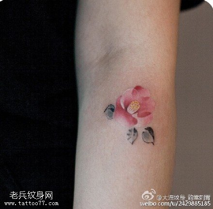 唯美的梅花纹身图案