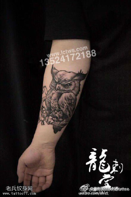 经典的猫头鹰刺青纹身图案