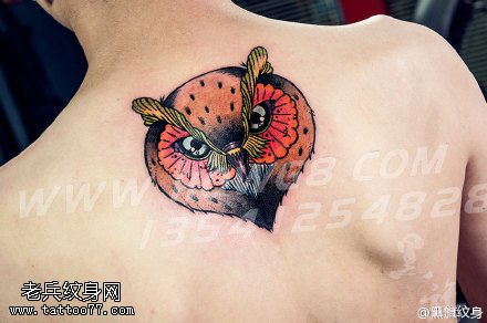 精美彩绘猫头鹰纹身图案