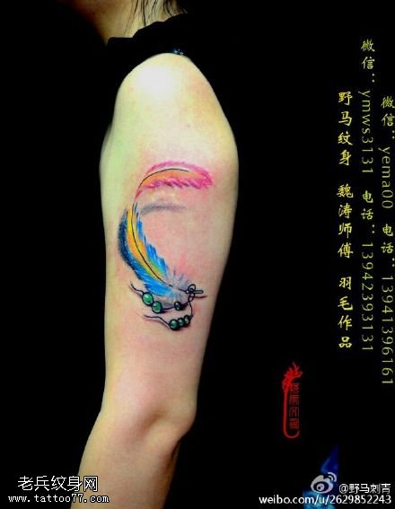 精美彩绘的羽毛纹身团