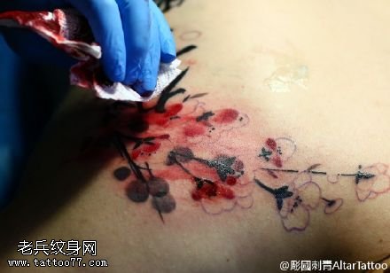 经典水彩梅花纹身图案