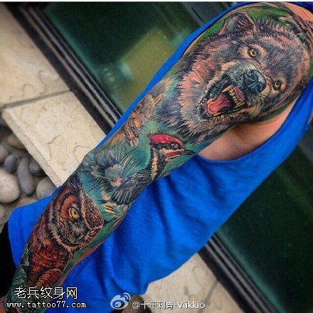 经典彩绘狮子猫头鹰纹身图案