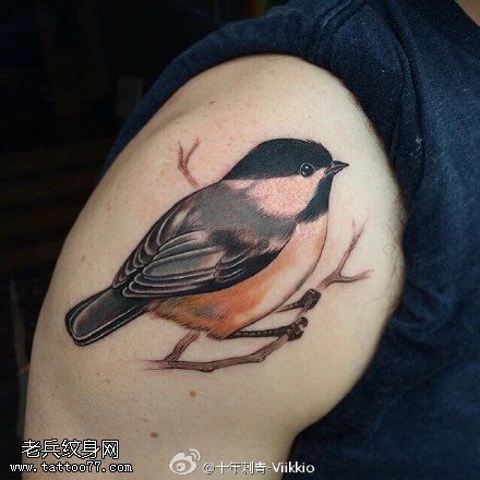 经典彩绘麻雀纹身图案