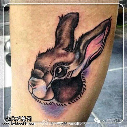 经典彩绘的小兔子纹身图案