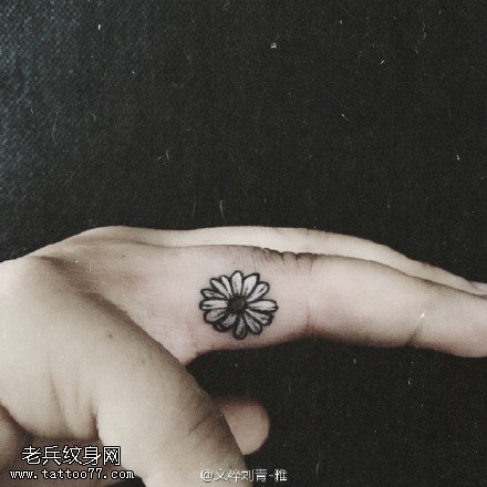 手指上的小邹菊纹身图案