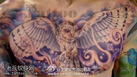 胸前霸气的猫头鹰纹身图案