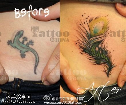 遮盖旧纹身漂亮的孔雀毛纹身图案