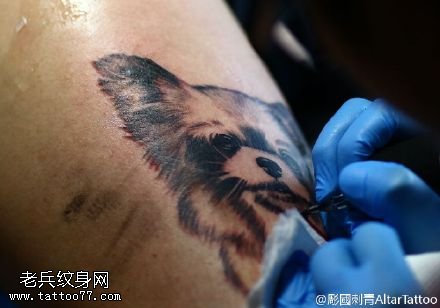 正在继续的小猫咪纹身图案
