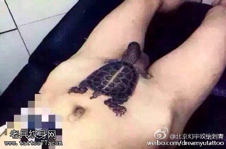 性感部位的乌龟纹身图案