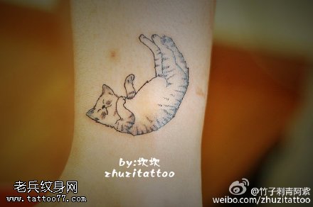 点刺睡觉的小猫咪纹身图案