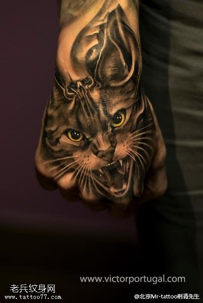 手臂上写实的猫咪纹身图案