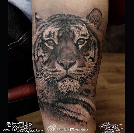 小腿上逼真写实的老虎纹身图案