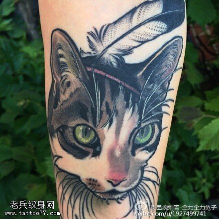 小腿上逼真的猫咪纹身图案