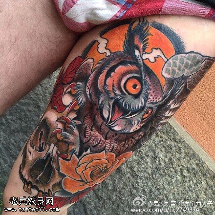 逼真彩绘猫头鹰骷髅纹身图案