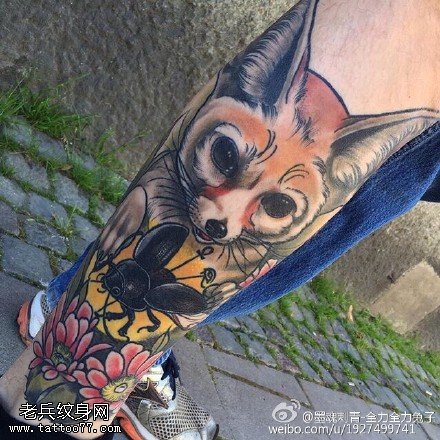 逼真彩绘猫咪昆虫纹身图案