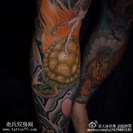 彩绘乌龟花臂纹身图案