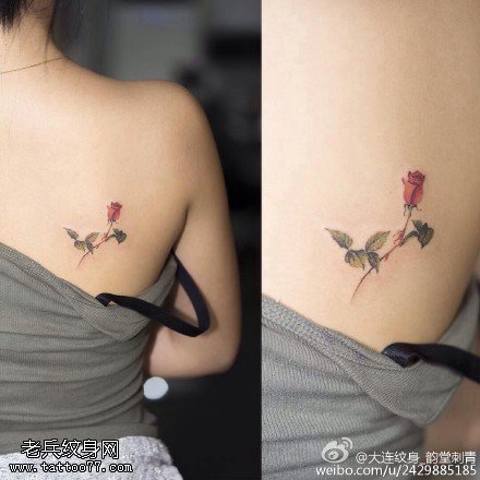 肩膀荆棘玫瑰纹身图案