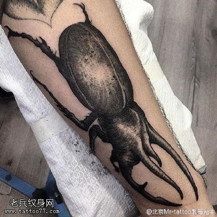 写实的夹克虫纹身图案