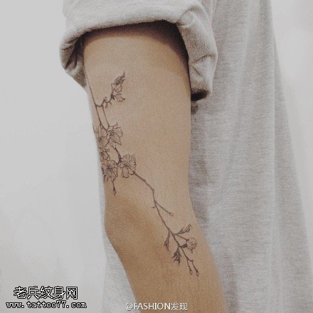 手臂上清新的花卉纹身图案