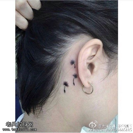 耳朵后的蒲公英纹身图案