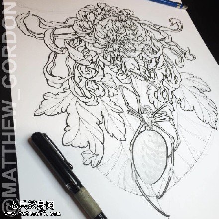 手稿素描菊花纹身图案