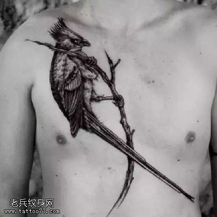树杈上的啄木鸟纹身图案