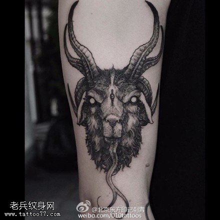 手臂上的羊骷髅纹身图案