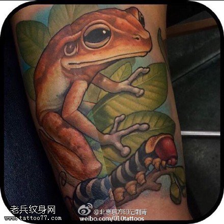 手臂彩绘青蛙纹身图案