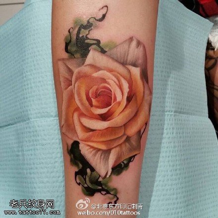 手臂上的漂亮玫瑰纹身图案