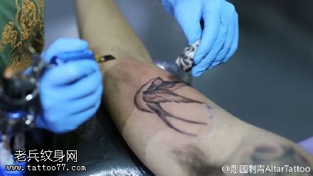 手臂上的燕子纹身图案
