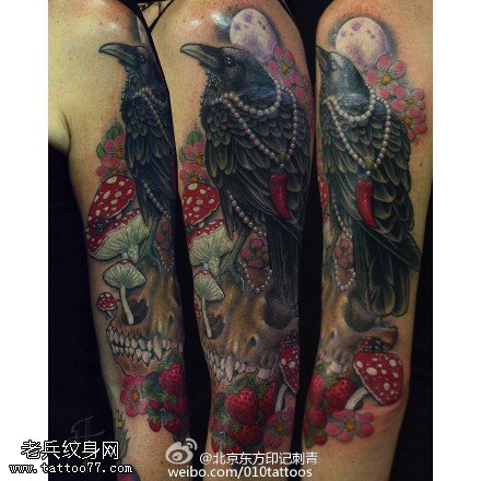 肩部彩绘蘑菇乌鸦纹身图案