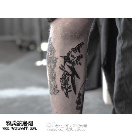 手臂树枝乌鸦纹身图案