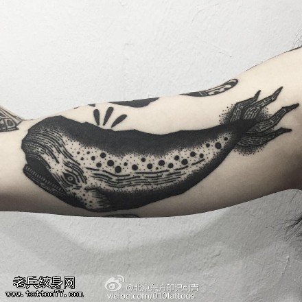手臂经典的鲨鱼纹身图案