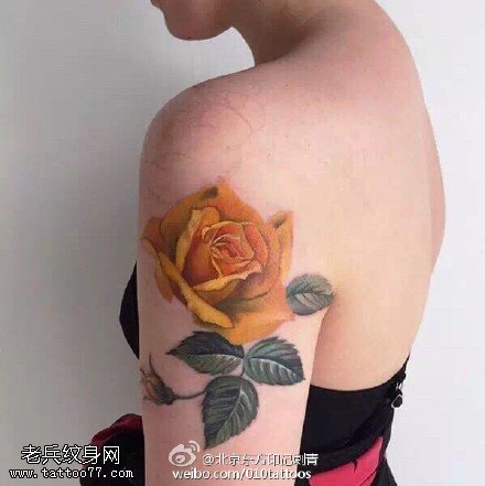肩部荆棘的黄玫瑰纹身图案