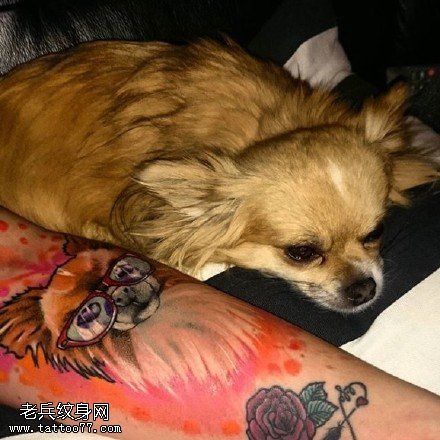 手臂水彩的宠物狗纹身图案