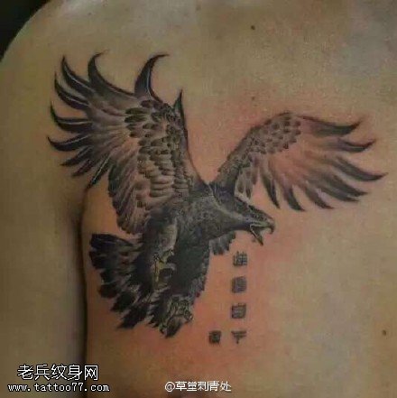 肩膀飞翔的雄鹰纹身图案